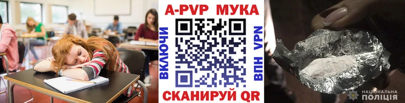 закладки Стародуб Alfa_PVP СК