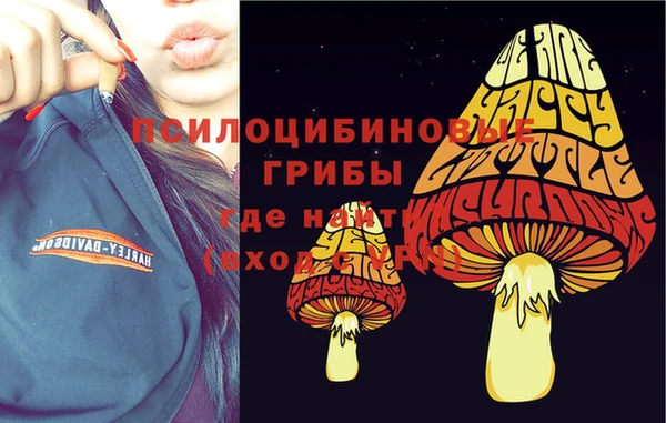 эйфоретик Алексин
