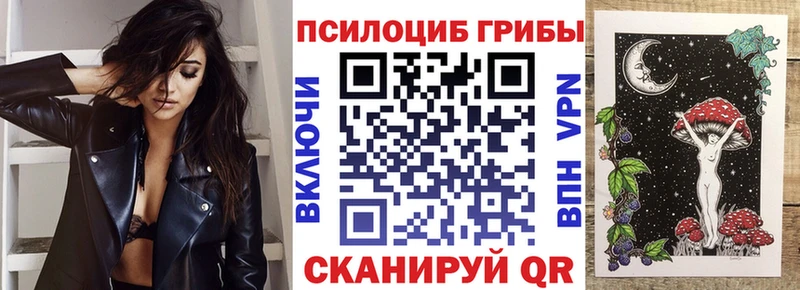 Галлюциногенные грибы MAGIC MUSHROOMS  Стародуб 